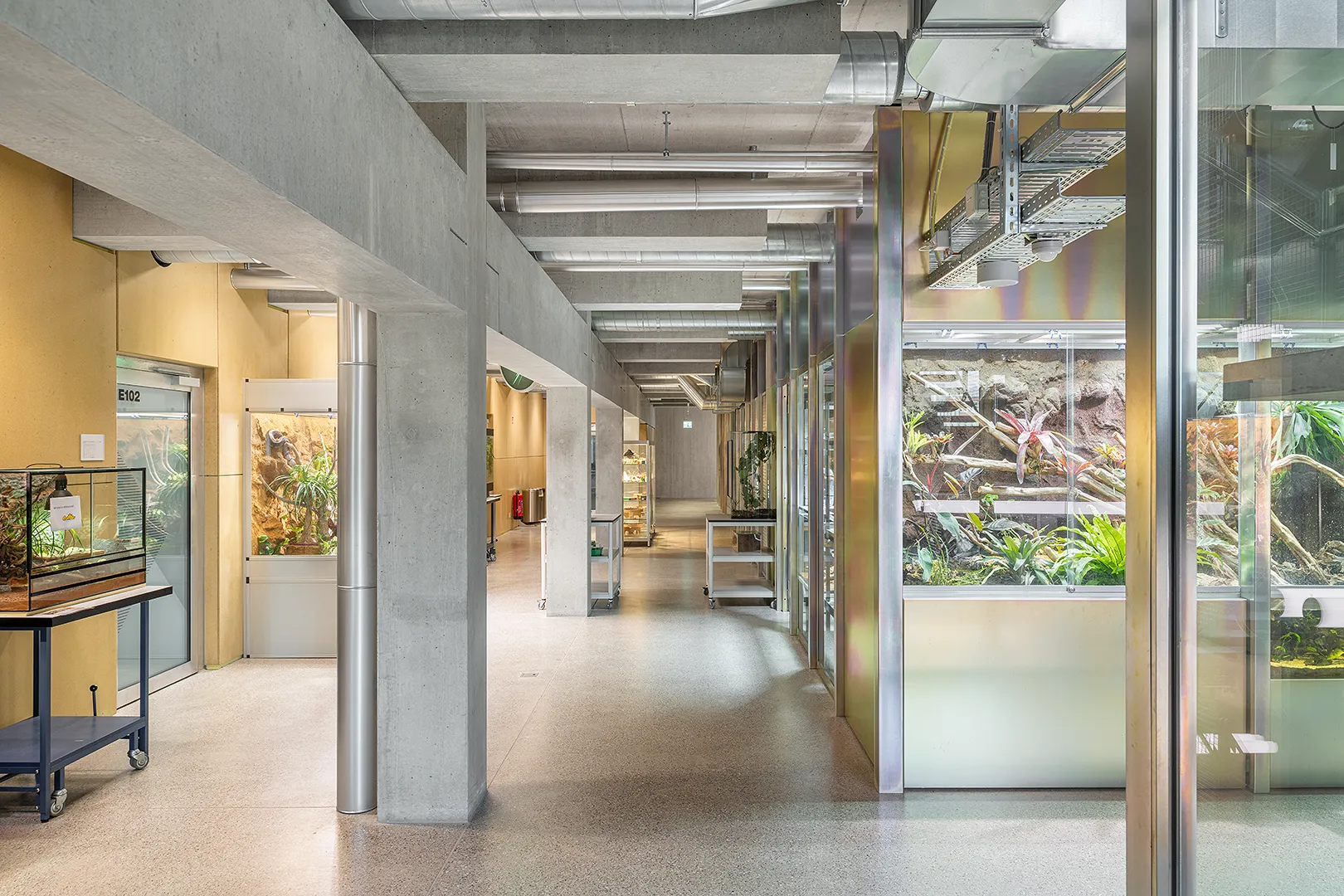 Architecture Photography of a modern brutalist-style school buildings, Kantonsschule Limmattal, featuring light gray-brown recyled-concrete facades, interior view with prefabricated concrete structure by ingegneri pedrazzini guidotti, designed for PENZISBETTINI in Urdorf, Zürich.